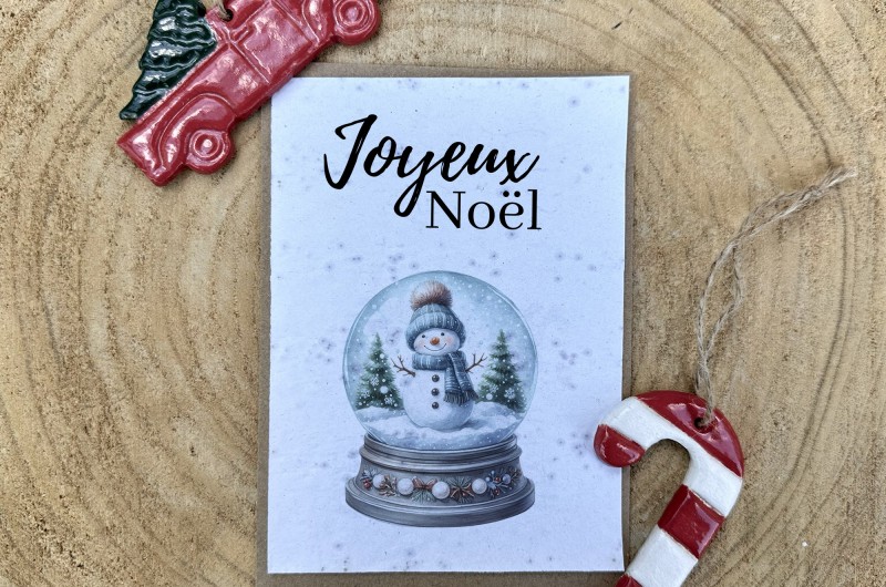 Carte à planter Joyeux Noël - Boule à neige