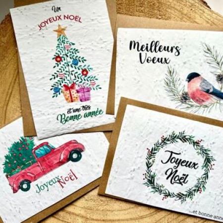 Lot de 20 Cartes de voeux à planter Noël